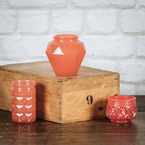 Photophore corail divers