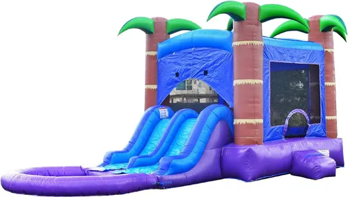 Bounce House with Pool