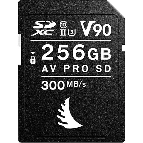 Angelbird 256GB SD