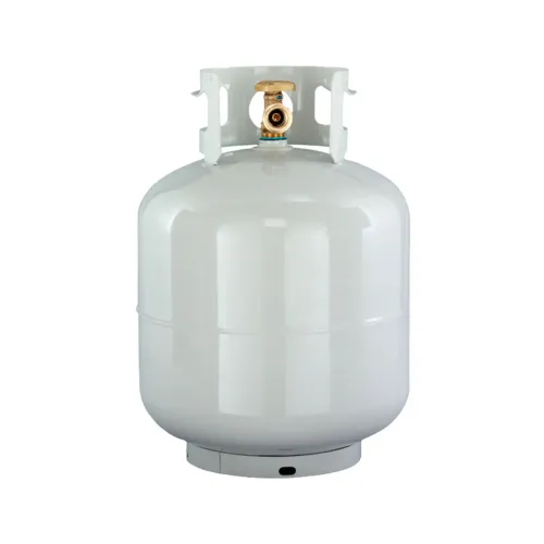 Réservoir de Propane 20lbs