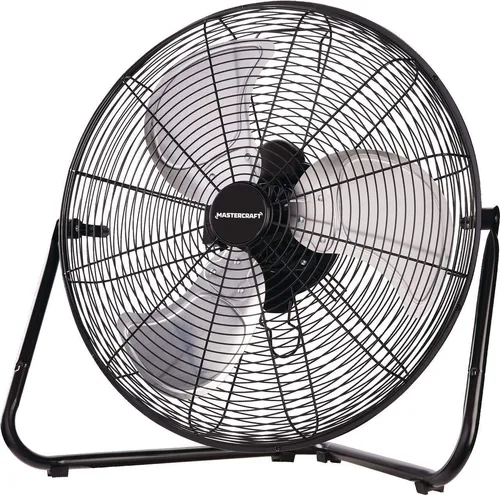 Fan