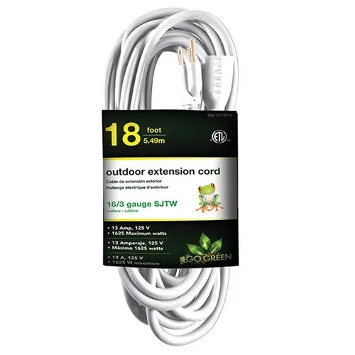 Extension Électrique 3 pieds