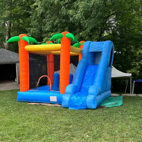 Jeu Gonflable Palmiers