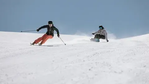 STANDARD SKIS