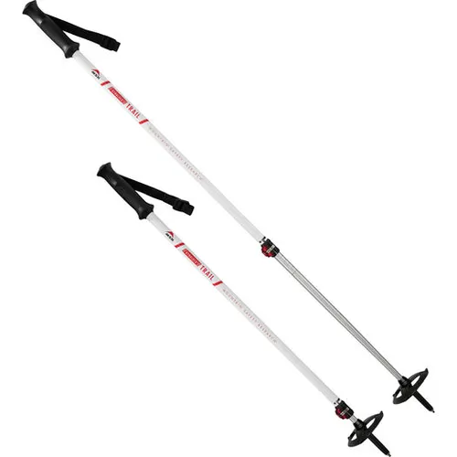 Snowshoe Poles - MSR Dynalock Trail Backcountry Poles