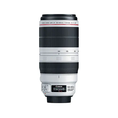 Canon EF 100-400mm f4,5-5,6L