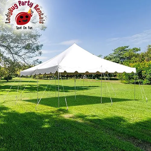20 x 20 Canopy Pole Tent