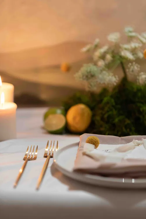 Beige Polyester Napkins