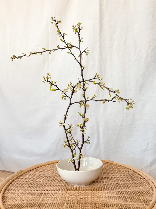 Short White Flower Bowl