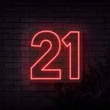 Neon LED Sign - 21 - RED