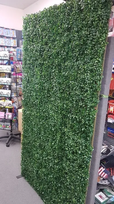 Green Wall - Small 