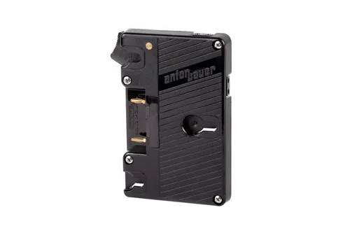 Gold Mount Battery Plate ONLY