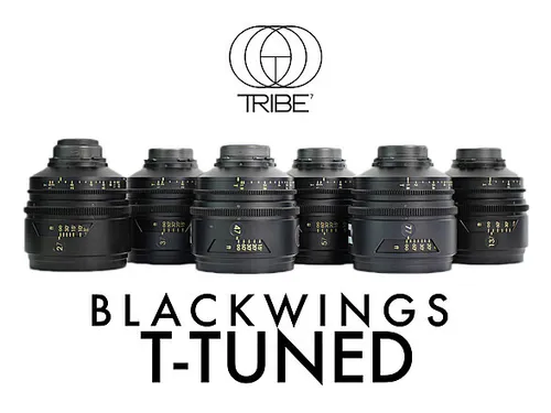 TRIBE7 Blackwing T-Tuned Full Frame PL Primes (Set of 8)
