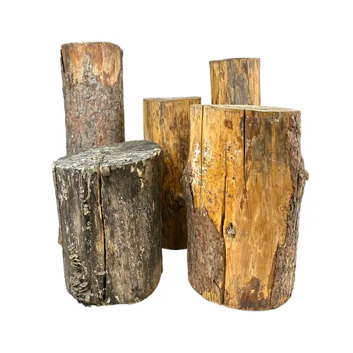 652 - Greenery - Assorted Tree Stumps - Various Sizes - Raw/Natural