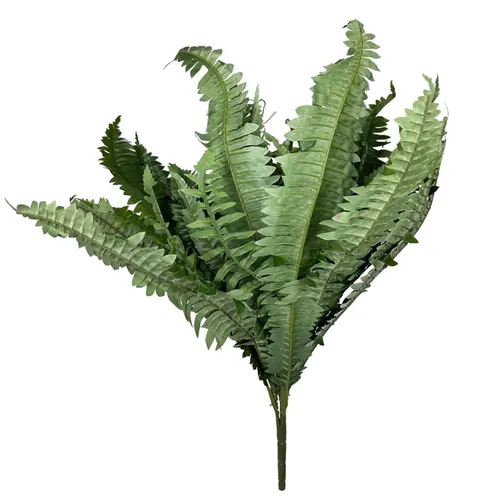 GN16 - Greenery - Boston Fern - 25