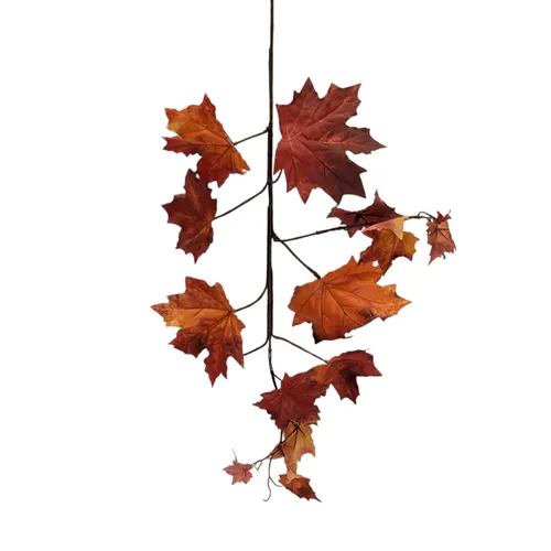 FA68 - Fall Foliage - 30