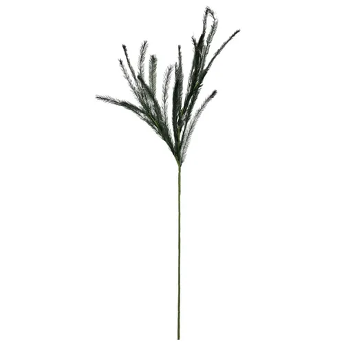 G79 - Greenery - Wispy Dark Ornamental Grass - 30