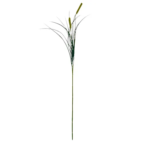 G26 - Greenery - Bulrush- 33