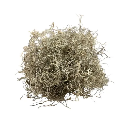 G33 - Greenery - Natural Spanish Moss - Brown
