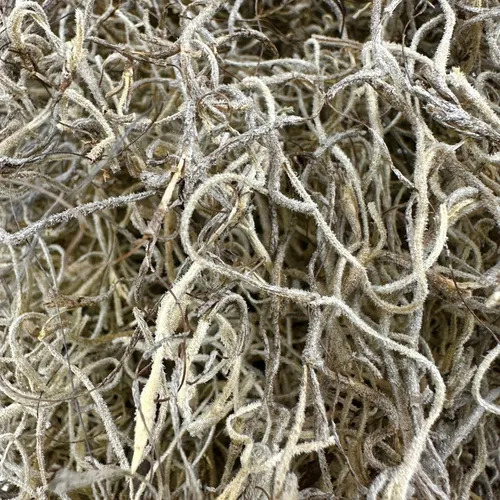 G33 - Greenery - Natural Spanish Moss - Brown