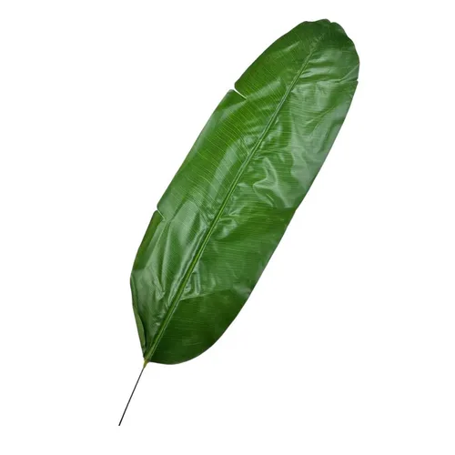 G21 - Greenery - Banana Leaf - 40