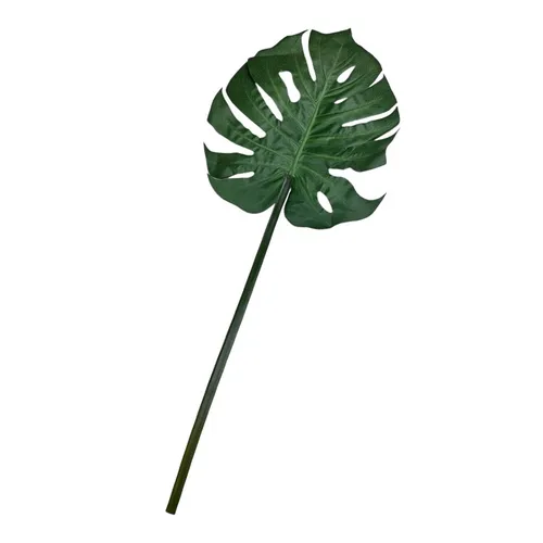 G24 - Greenery - Monstera - 40