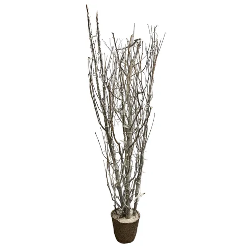 Greens - Potted Willow - Lit - White Strand - Warm White 