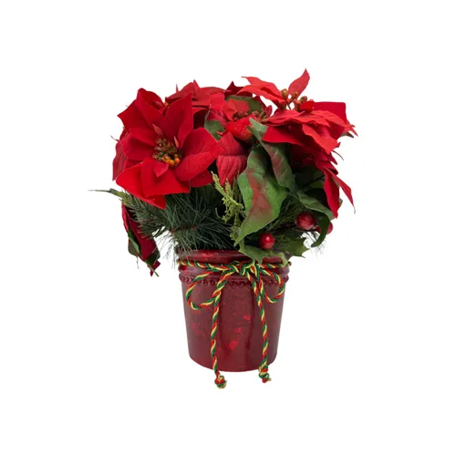 Smalls - Poinsettia - 15'' - Red Folliage - Red Pot w/ Braided Rope