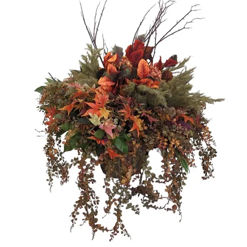 Fall - Fall Foliage - 24