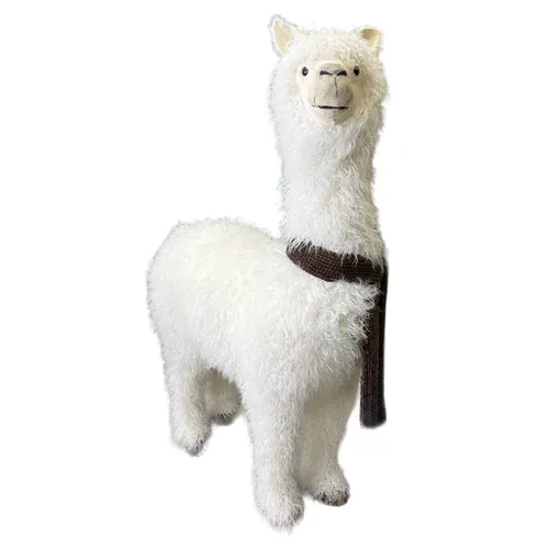 Animals - Llama - 29