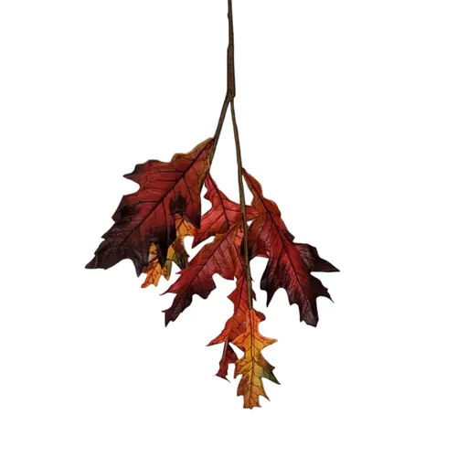 FA65 - Fall Foliage - 21