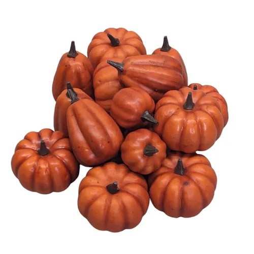 Mini Assorted Pumpkins - Fall - Various Sizes - Orange
