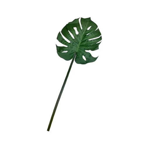 G23 - Greenery - Monstera - 28