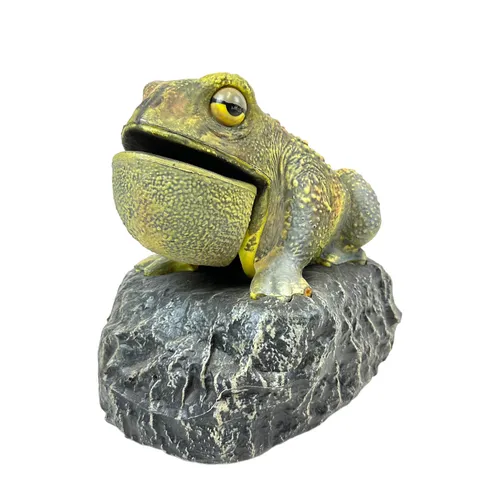 651 - Animals - Toad on Rock - 11