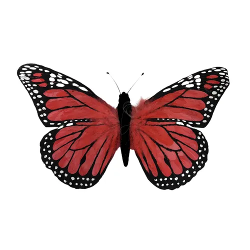 BB16 - Animals - Butterfly - 26