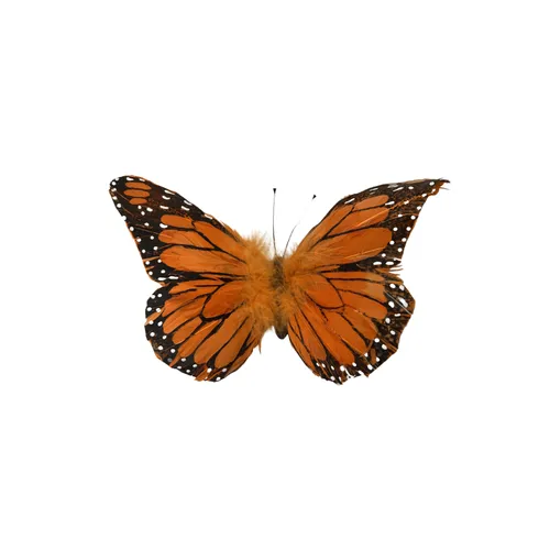 BB12 - Animals - Butterfly - 11 1/4