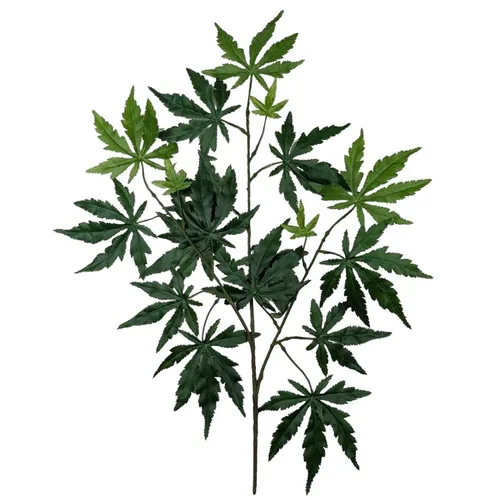 G69 - Greenery - Japanese Maple Branch - 21.5