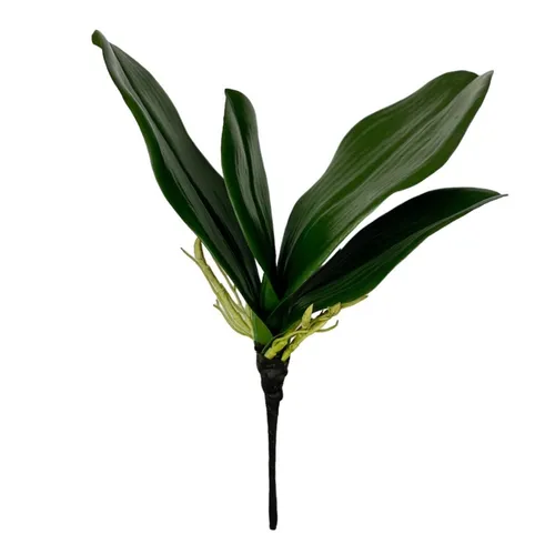 G92 - Greenery - Soft Phalen - 9.5