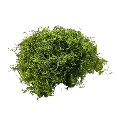 503 - Greenery - Green Spanish Moss 