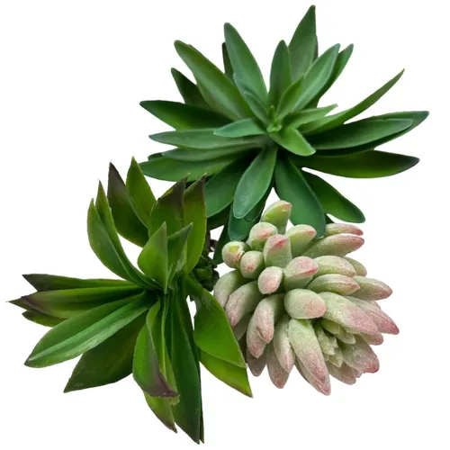 G88 - Greenery - Various Succulents - Pink/Green