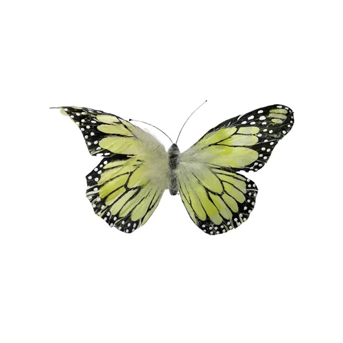 BB13 - Animals - Butterfly - 11 1/4