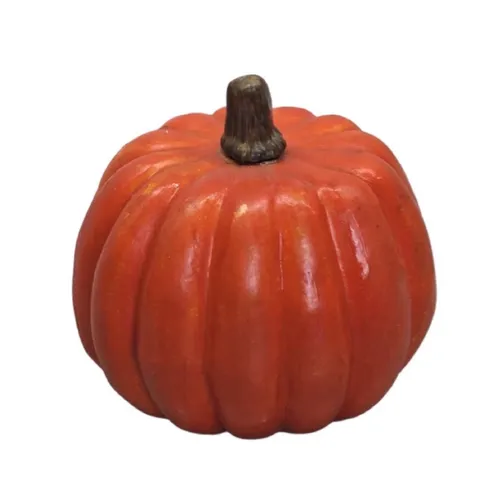 Pumpkin - Fall - 9