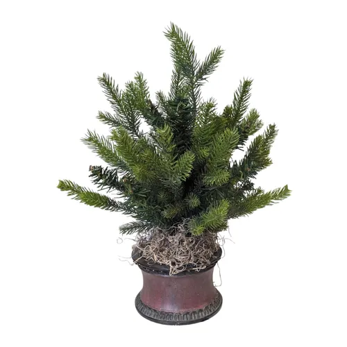 Smalls - Spruce Tree - 6.5