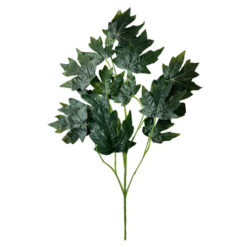 G60 - Greenery - Canadian Maple Spray - 24