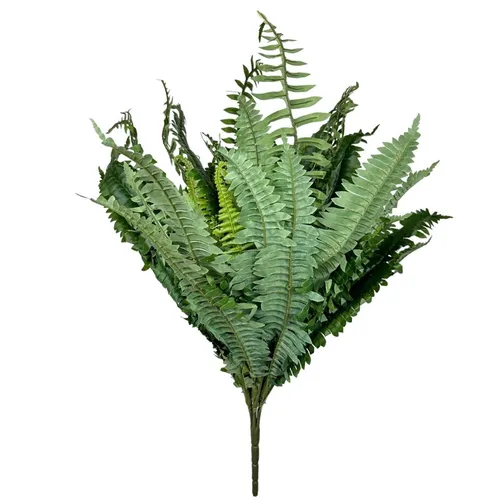GN17 - Greenery - Fern - 34