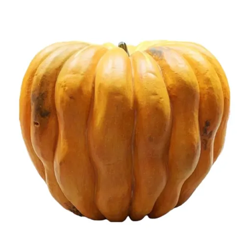 Oversized - Pumpkin - 24