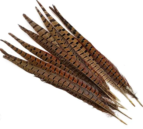 Sales - BB9 - Feather - Pheasant - 26