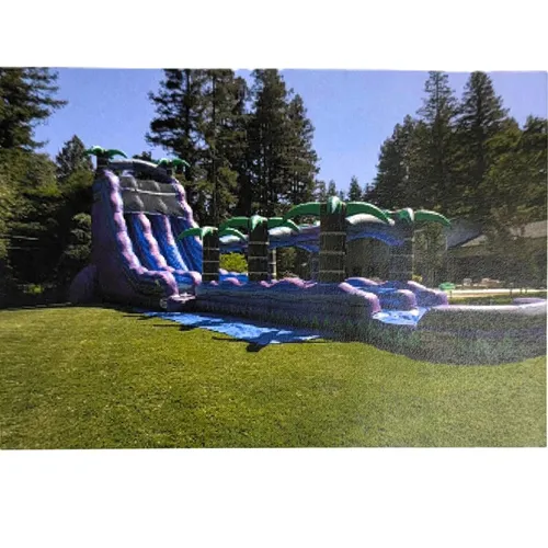 Purple Crush Dual Lane Slide with Runway