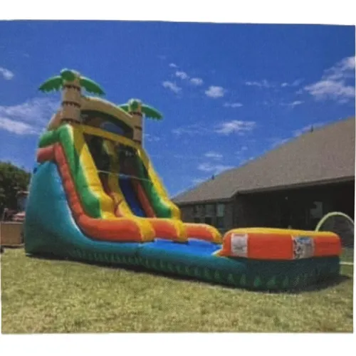 TROPICAL SLIDE