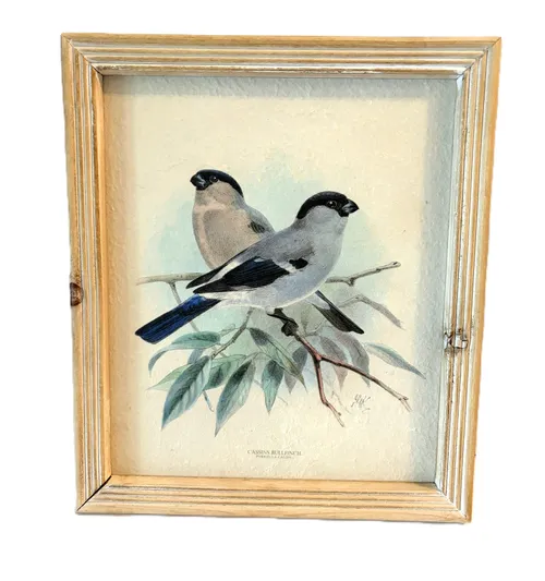 Pastel Bird Picture